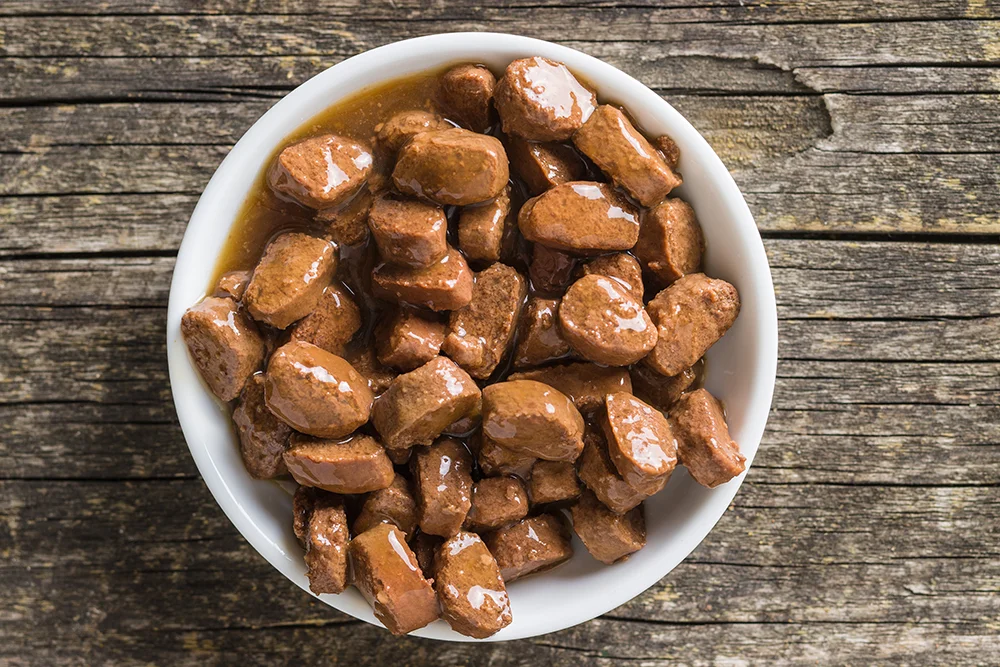 Wet vs. Dry Cat Food: Vet-Approved Facts & Key Differences - Catster